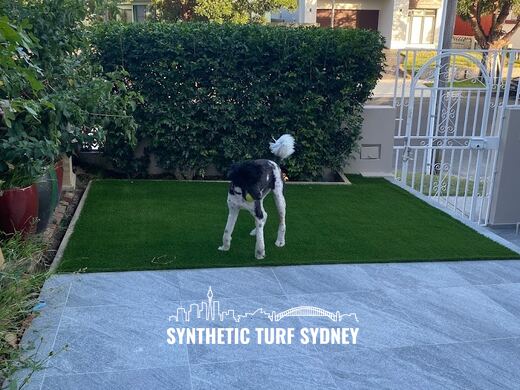 Synthetic lawn installed in a residential backyard
