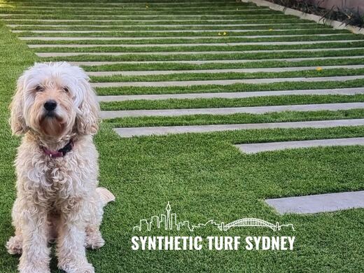 Synthetic turf laid around pavers and stepping stones
