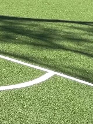 STS Slam Dunk synthetic turf