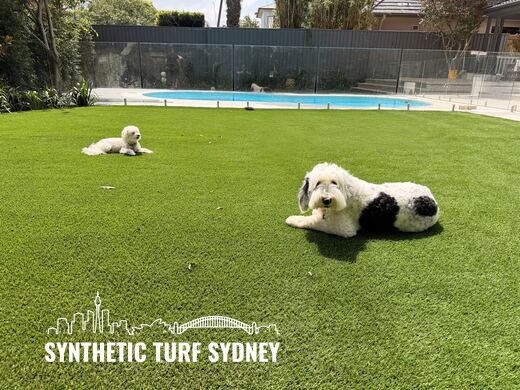 Open lawn behind a glass pool fence, laid in Collaroy 40mm synthetic turf