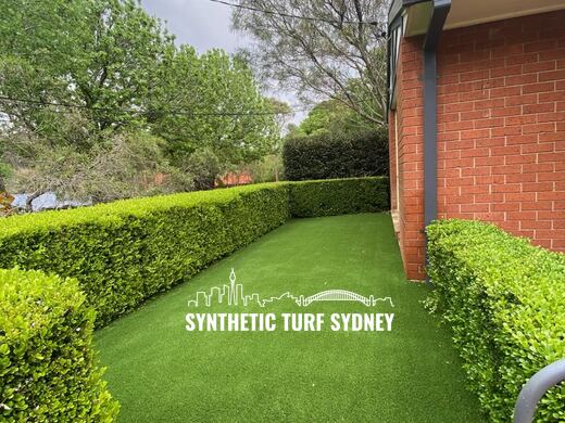Narrow lawn between hedge and wall, laid in Collaroy 40mm synthetic turf