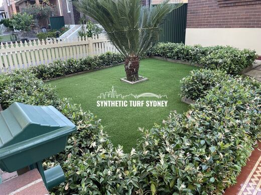 Lawn around a central palm, laid in Collaroy 40mm synthetic turf