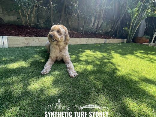 Shaded rear lawn under a hedge, laid in Hyde Park 40mm synthetic turf
