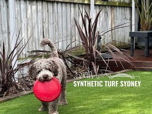 Synthetic lawn installed in a residential backyard