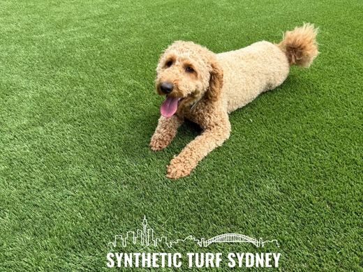 Synthetic lawn installed in a residential backyard