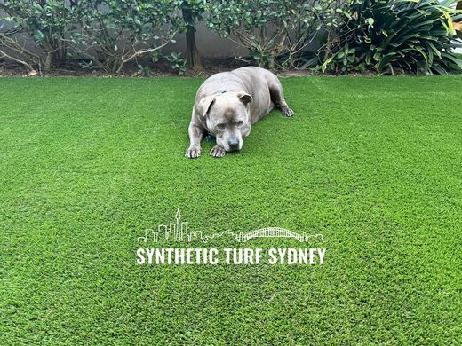 Synthetic lawn installed in a residential backyard
