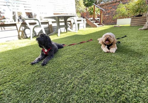 Hyde Park 40mm laid on a Synthetic Turf Sydney installation