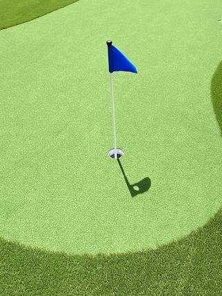 STS Putting Turf synthetic turf